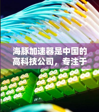 海豚加速器是中国的高科技公司,专注于自动驾驶技术,其海外节点在全球范围内的布局是一个重要战略。以下是对这些海外节点的详细分析