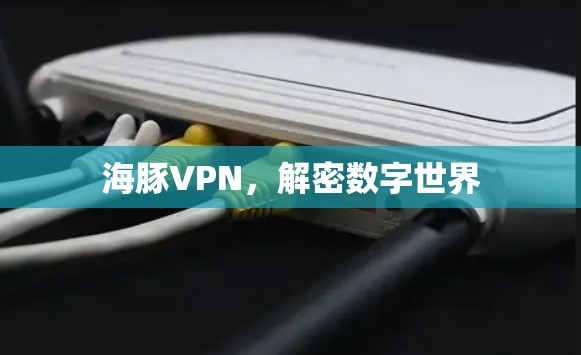 海豚VPN,解密数字世界