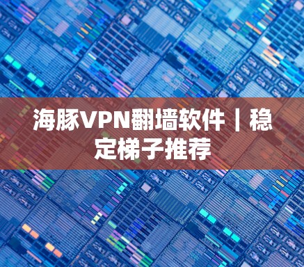 海豚VPN翻墙软件｜稳定梯子推荐
