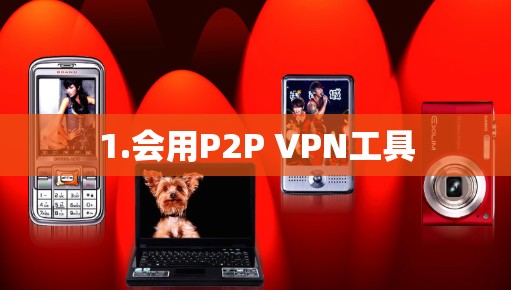 1.会用P2P VPN工具
