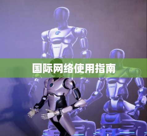 国际网络使用指南 国际网络使用指南
