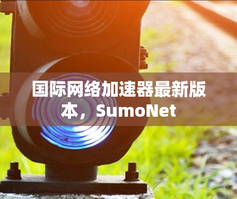 国际网络加速器最新版本,SumoNet