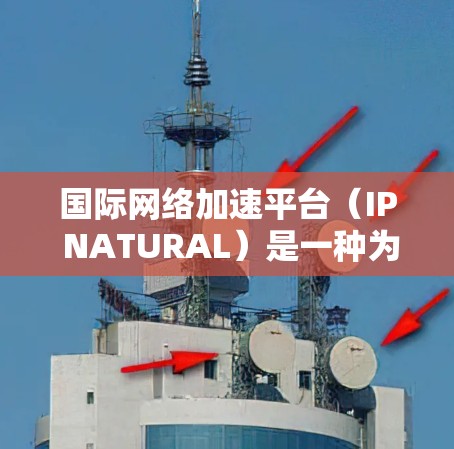 国际网络加速平台（IP NATURAL）是一种为用户提供在海外使用网络服务的工具，旨在减少文化差异带来的影响。以下是对该领域的一些关键点的总结