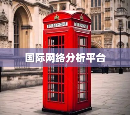 国际网络分析平台