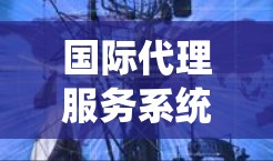 国际代理服务系统是帮助公司或个人联系国际合作伙伴,处理跨国业务问题的工具。以下是该系统的主要特点、优势、类型、费用、问题及适用范围的详细总结