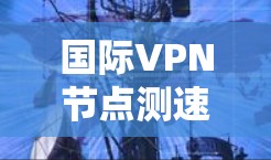 国际VPN节点测速