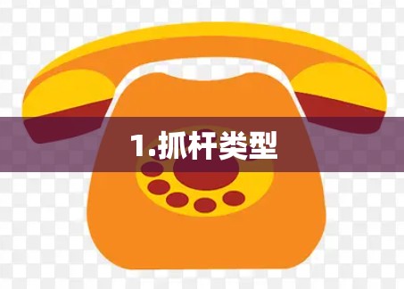 1.抓杆类型