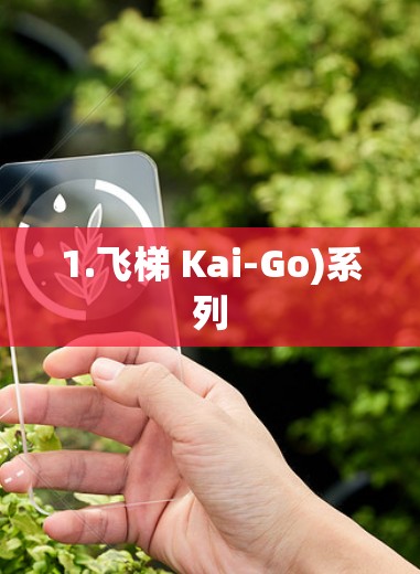 1.飞梯 Kai-Go)系列