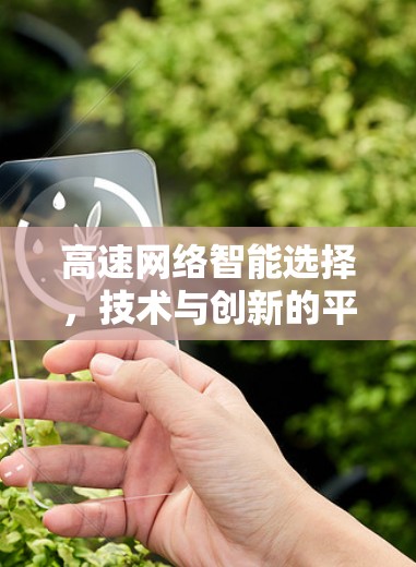高速网络智能选择,技术与创新的平衡之道 高速网络智能选择,技术与创新的平衡之道