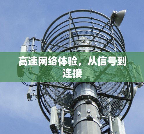 高速网络体验,从信号到连接 高速网络体验,从信号到连接