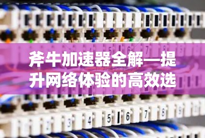 斧牛加速器全解—提升网络体验的高效选择 斧牛加速器全解—提升网络体验的高效选择