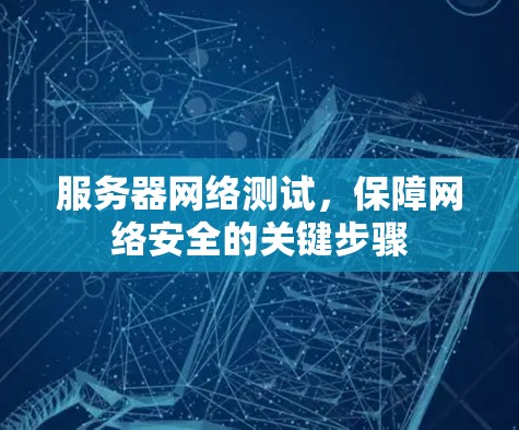 服务器网络测试，保障网络安全的关键步骤