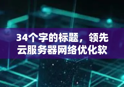 34个字的标题，领先云服务器网络优化软件，提升效率，保障安全