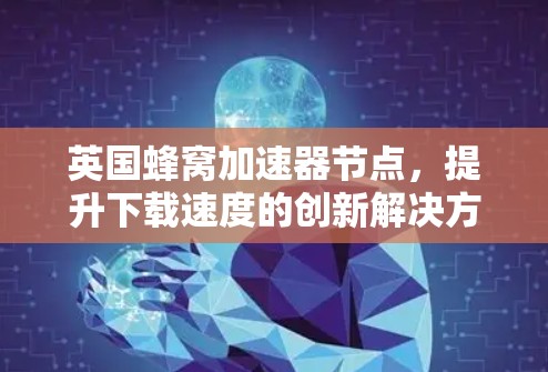 英国蜂窝加速器节点,提升下载速度的创新解决方案 英国蜂窝加速器节点,提升下载速度的创新解决方案