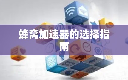 蜂窝加速器的选择指南