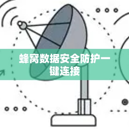 蜂窝数据安全防护一键连接 蜂窝数据安全防护一键连接