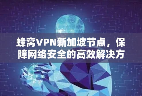 蜂窝VPN新加坡节点,保障网络安全的高效解决方案 蜂窝VPN新加坡节点,保障网络安全的高效解决方案