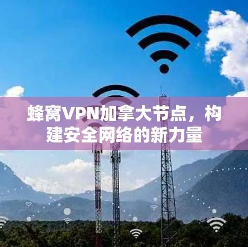 蜂窝VPN加拿大节点,构建安全网络的新力量 蜂窝VPN加拿大节点,构建安全网络的新力量