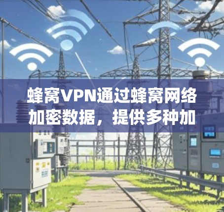 蜂窝VPN通过蜂窝网络加密数据，提供多种加密服务和管理功能，帮助用户在 anywhere使用互联网，同时保持数据的安全性。以下是蜂窝VPN的详细介绍