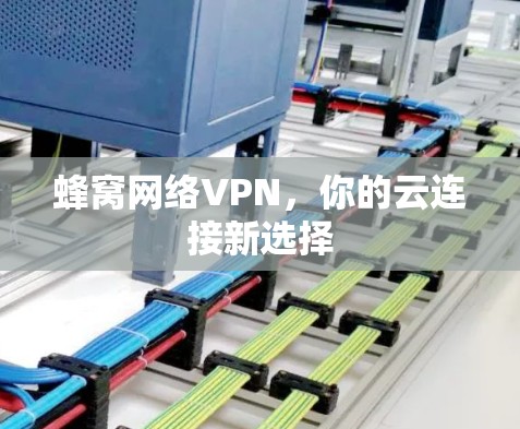 蜂窝网络VPN,你的云连接新选择 蜂窝网络VPN,你的云连接新选择
