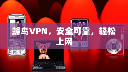 蜂鸟VPN，安全可靠，轻松上网
