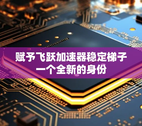 赋予飞跃加速器稳定梯子一个全新的身份 赋予飞跃加速器稳定梯子一个全新的身份