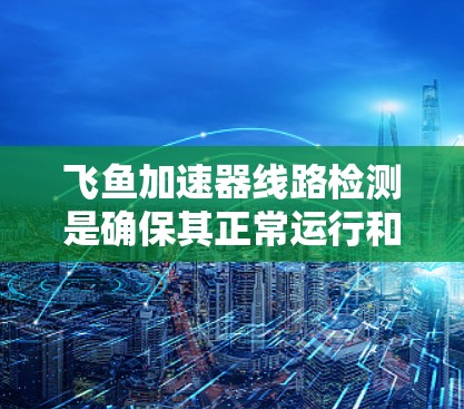 飞鱼加速器线路检测是确保其正常运行和安全运行的关键步骤。以下是对这一过程的详细分析和总结