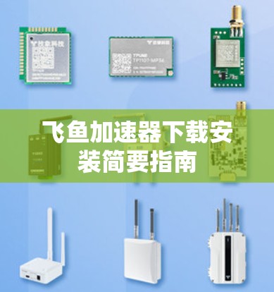 飞鱼加速器下载安装简要指南 飞鱼加速器下载安装简要指南