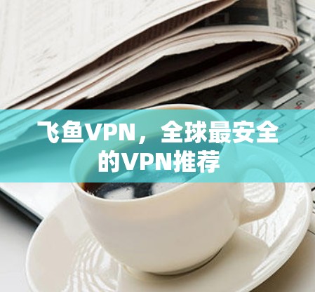 飞鱼VPN，全球最安全的VPN推荐