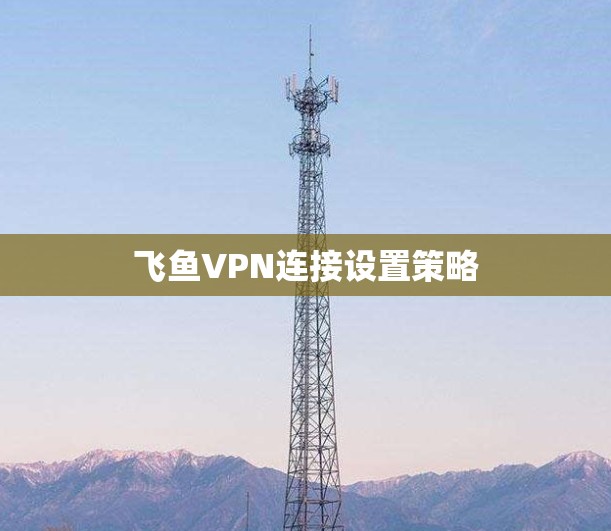 飞鱼VPN连接设置策略