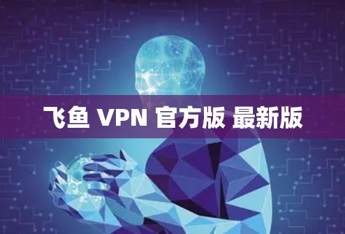 飞鱼 VPN 官方版 最新版