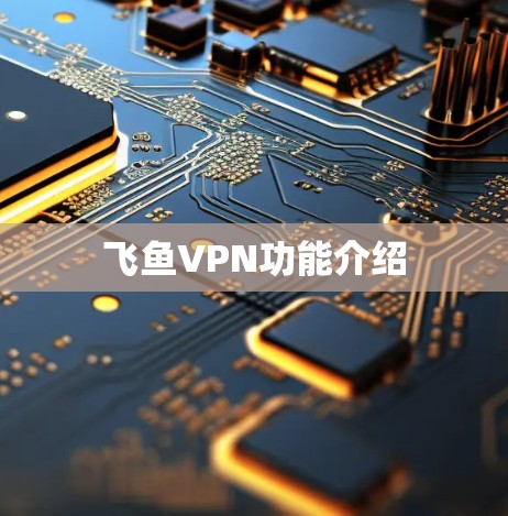 飞鱼VPN功能介绍 飞鱼VPN功能介绍