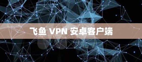 飞鱼 VPN 安卓客户端