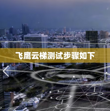 飞鹰云梯测试步骤如下