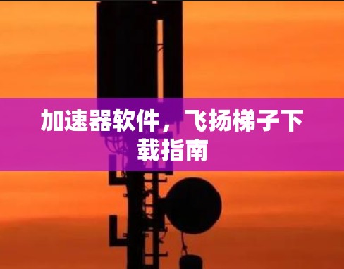 加速器软件，飞扬梯子下载指南