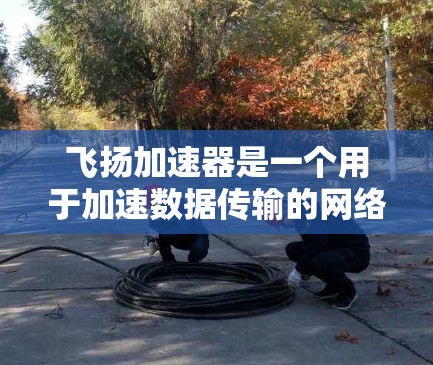 飞扬加速器是一个用于加速数据传输的网络工具,尤其在数据中心和云计算服务中。它通过先进的技术提升数据传输速度和网络效率。海外节点则是飞扬加速器在特定海外地区的部署,涉及网络适应性和硬件配置优化 飞扬加速器是一个用于加速数据传输的网络工具,尤其在数据中心和云计算服务中。它通过先进的技术提升数据传输速度和网络效率。海外节点则是飞扬加速器在特定海外地区的部署,涉及网络适应性和硬件配置优化