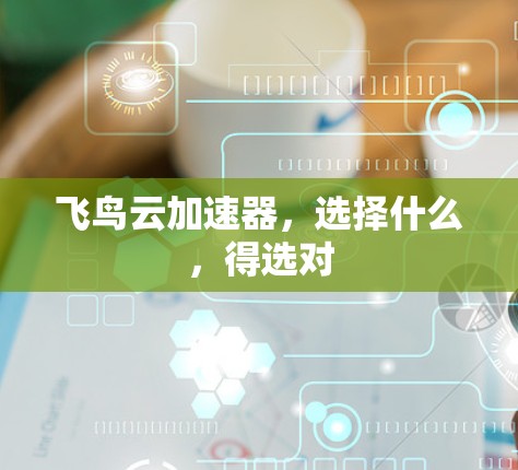飞鸟云加速器,选择什么,得选对 飞鸟云加速器,选择什么,得选对