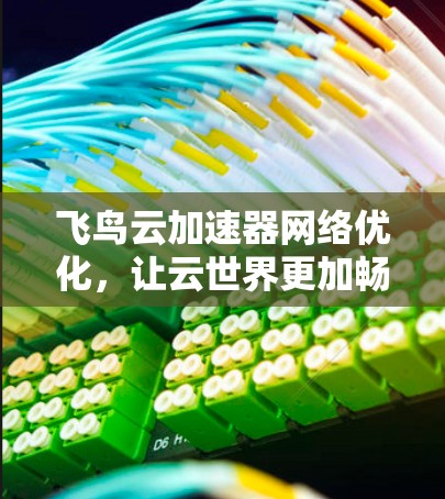 飞鸟云加速器网络优化,让云世界更加畅快 飞鸟云加速器网络优化,让云世界更加畅快