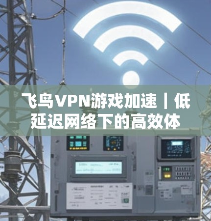飞鸟VPN游戏加速｜低延迟网络下的高效体验