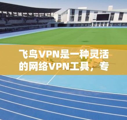 飞鸟VPN是一种灵活的网络VPN工具，专为多设备和多种网络类型设计，适合需要多点网络连接的用户。以下是使用飞鸟VPN的详细步骤