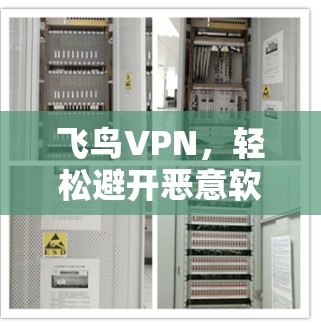 飞鸟VPN,轻松避开恶意软件的高效选择 飞鸟VPN,轻松避开恶意软件的高效选择