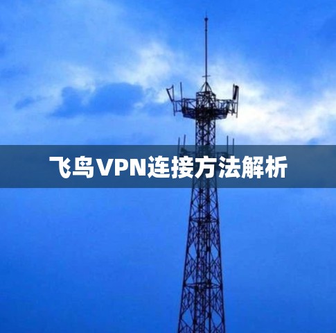 飞鸟VPN连接方法解析 飞鸟VPN连接方法解析