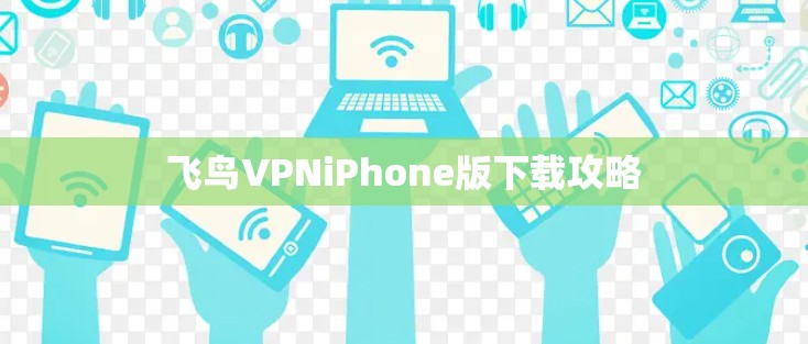 飞鸟VPNiPhone版下载攻略
