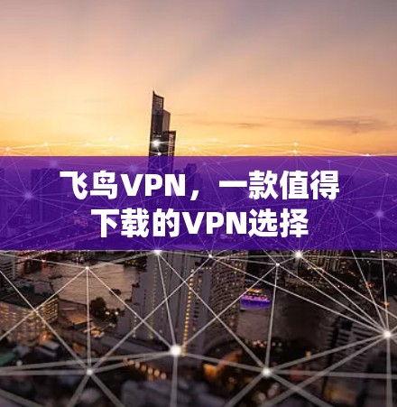 飞鸟VPN，一款值得下载的VPN选择