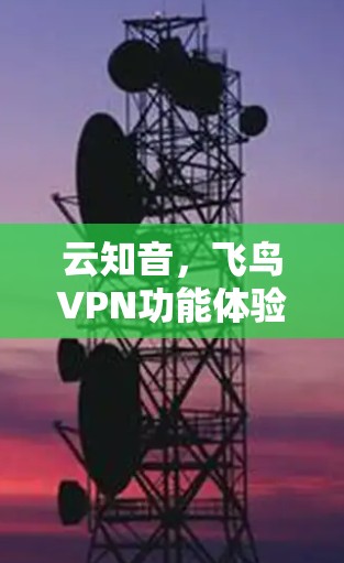 云知音,飞鸟VPN功能体验 云知音,飞鸟VPN功能体验