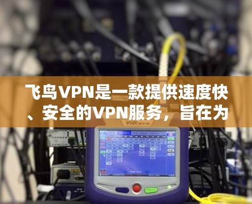 飞鸟VPN是一款提供速度快、安全的VPN服务，旨在为用户提供高效、可靠的数据传输服务。以下是飞鸟VPN的主要功能介绍