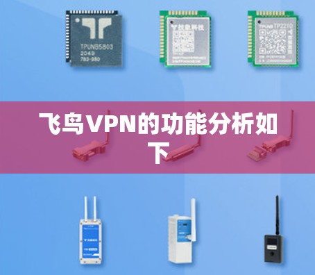 飞鸟VPN的功能分析如下