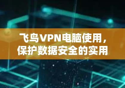 飞鸟VPN电脑使用，保护数据安全的实用指南