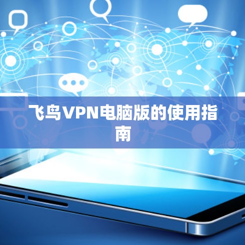 飞鸟VPN电脑版的使用指南