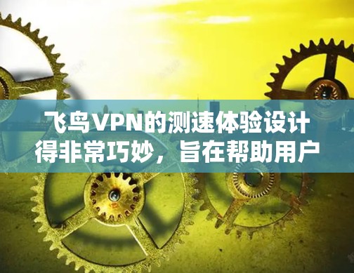 飞鸟VPN的测速体验设计得非常巧妙，旨在帮助用户全面评估自己的VPN连接速度。以下是其主要功能和方法